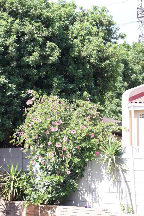Stellenberg Cape Town
